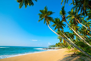 Kalutara beach, Sri Lanka © Anton Gvozdikov | 123RF.com