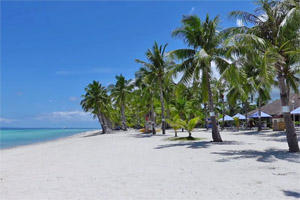 Panglao Panglao