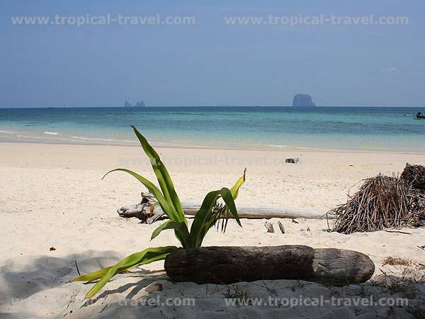 Koh Bulon Koh Bulon