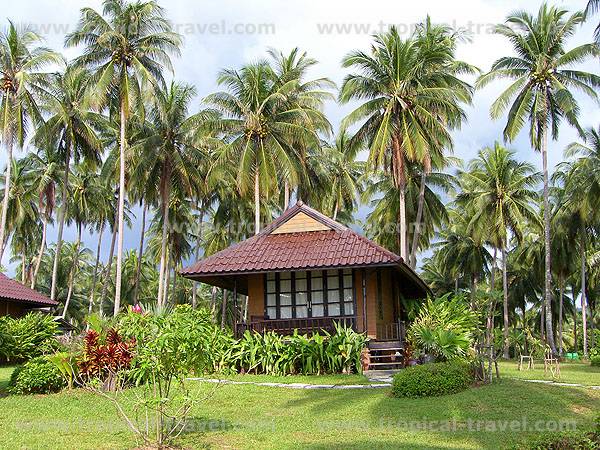 Koh Kut