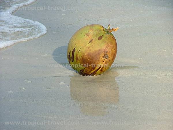 Koh Kut