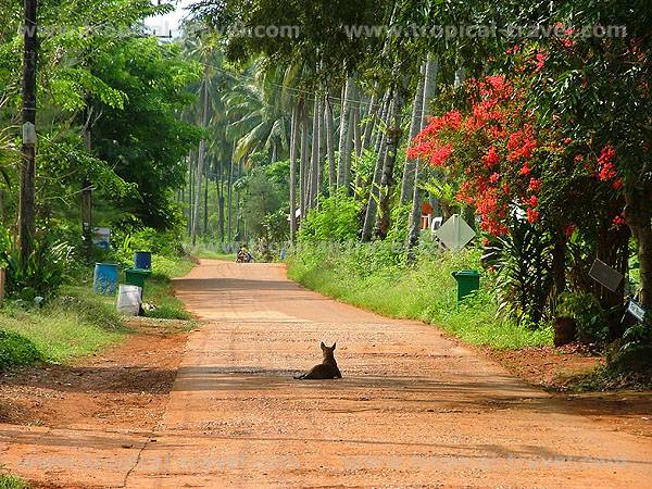 Koh Mak