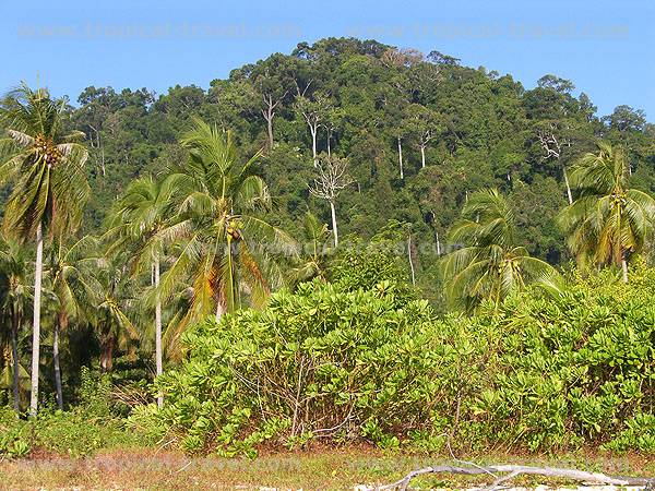 Koh Ngai Koh Ngai