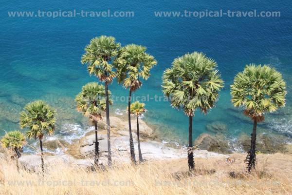 Phuket Phuket