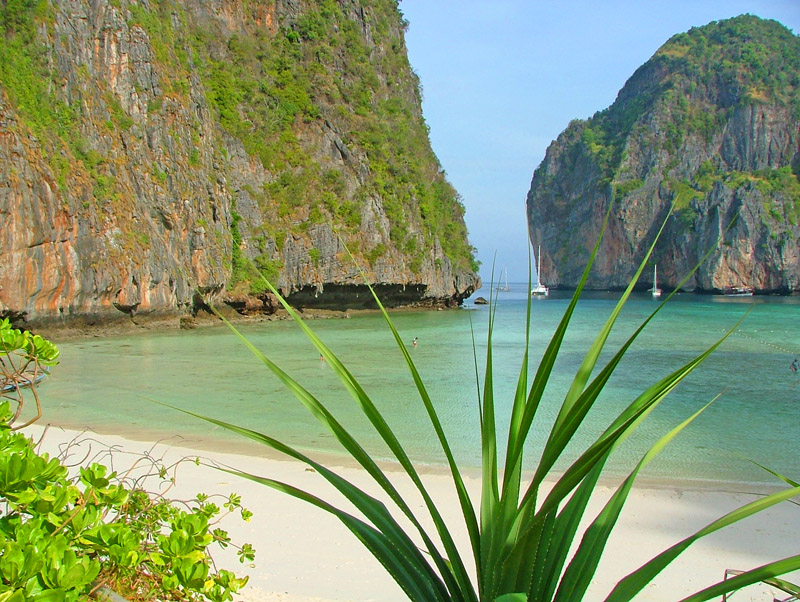 Koh Phi Phi Maya Bay Koh Phi Phi © tropical-travel.com