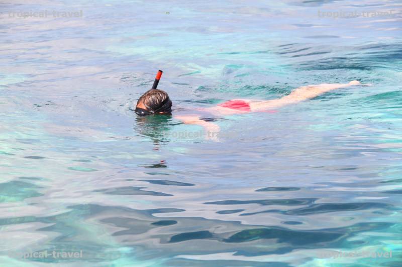 Koh Phi Phi schnorcheln Koh Phi Phi © tropical-travel.com