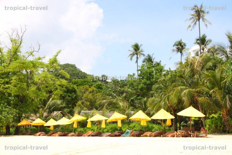 Zeavola Beach Resort Koh Phi Phi © tropical-travel.com