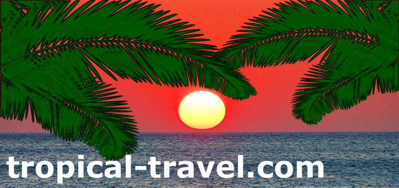 tropical-travel