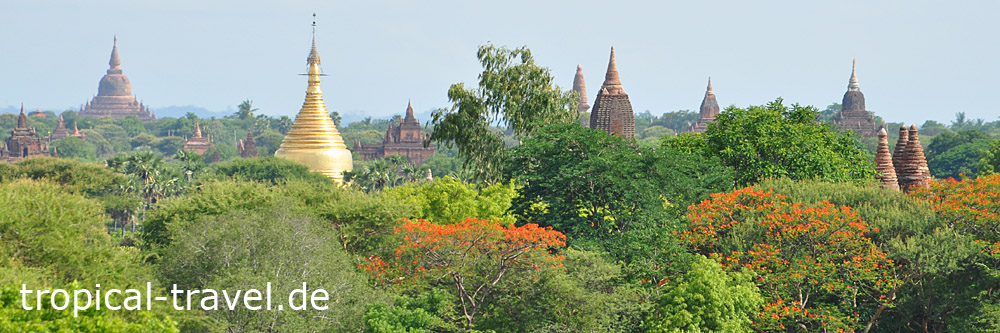 Bagan