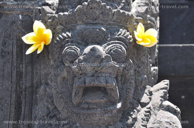 Bali Bali