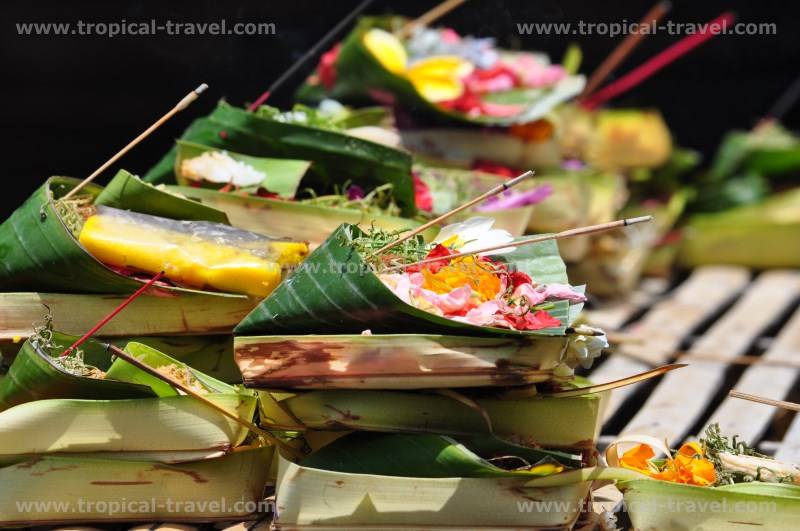 Bali Bali
