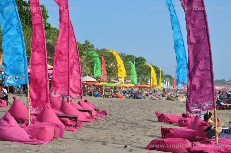 Bali Bali