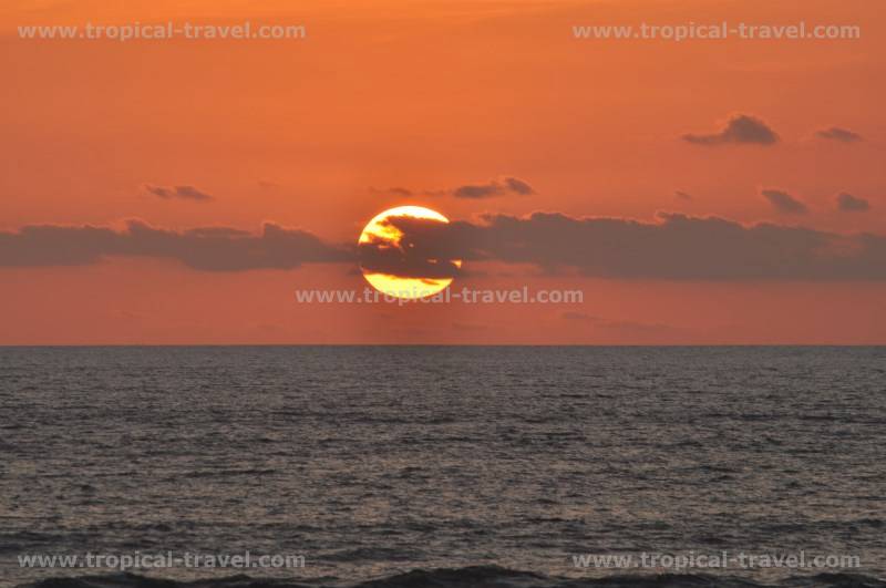 Bali Bali