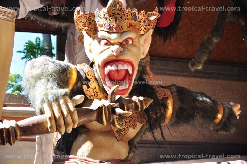 Bali Bali