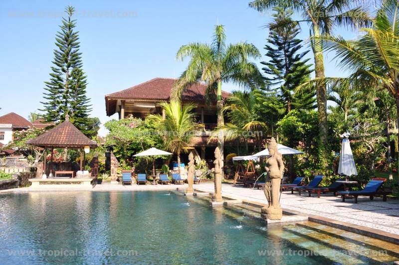 Bali Bali
