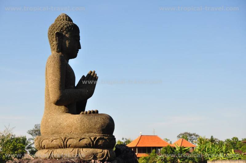 Bali Bali