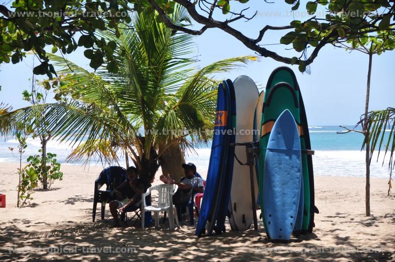 Bali Bali