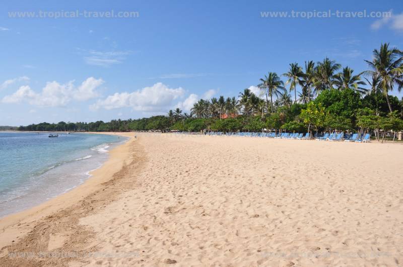 Bali Bali