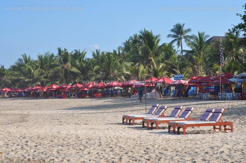 Bali Bali