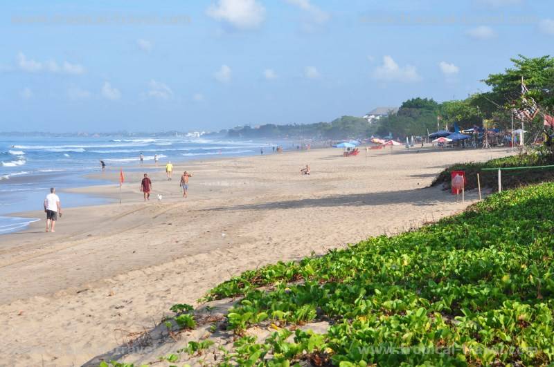 Bali Bali