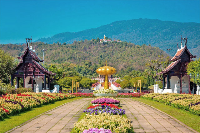 Chiang Mai