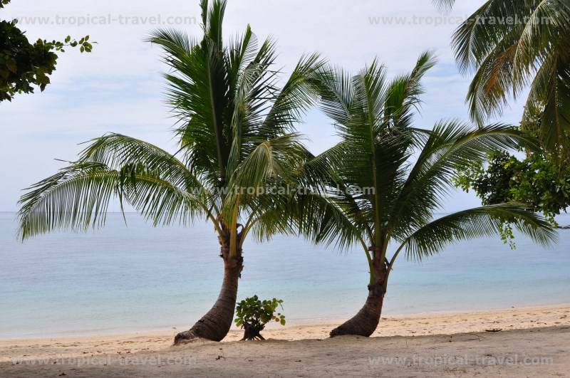 Koh Ngai