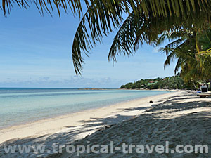 Koh Phangan