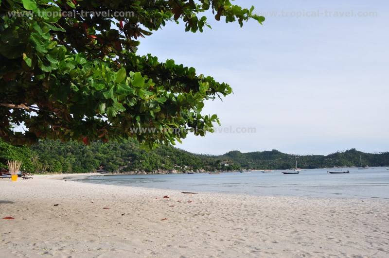 Koh Phangan