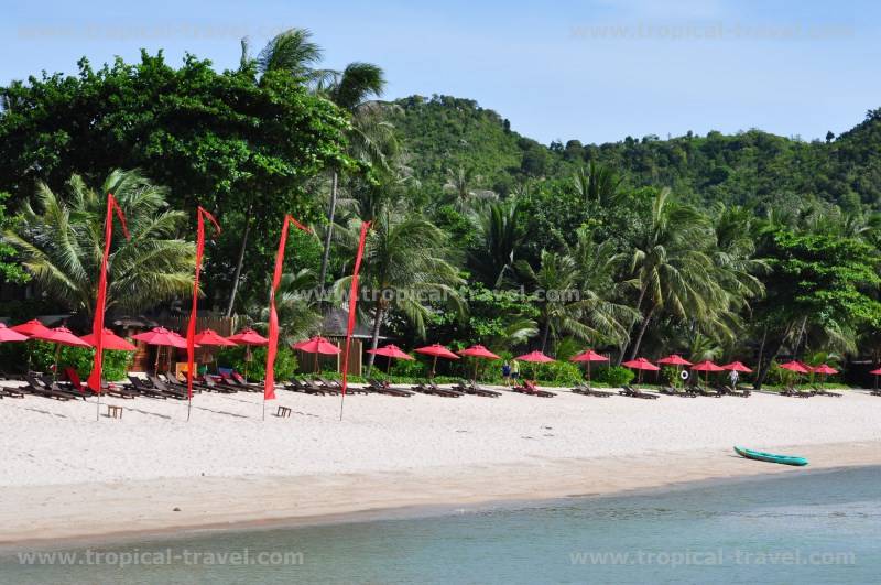 Koh Phangan