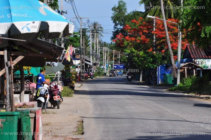 Koh Phangan