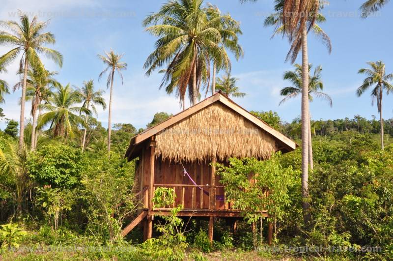 Koh Rong