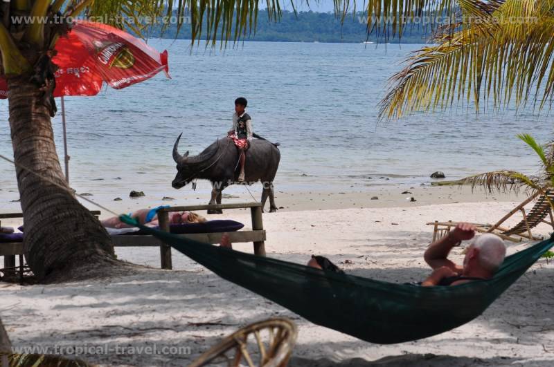 Koh Rong