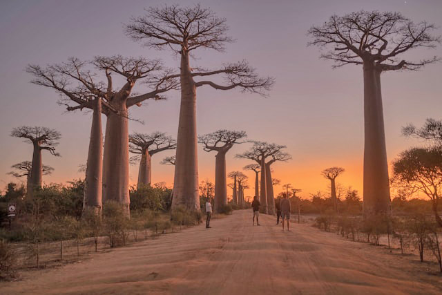 Madagaskar Madagaskar