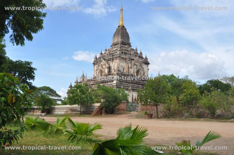 Bagan