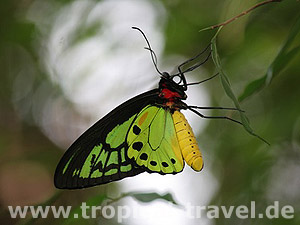 &copy; michael luckett  -  fotolia.com