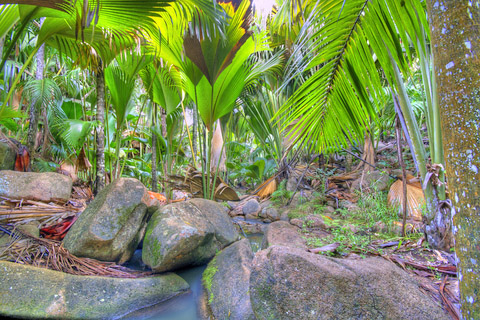 Seychellen