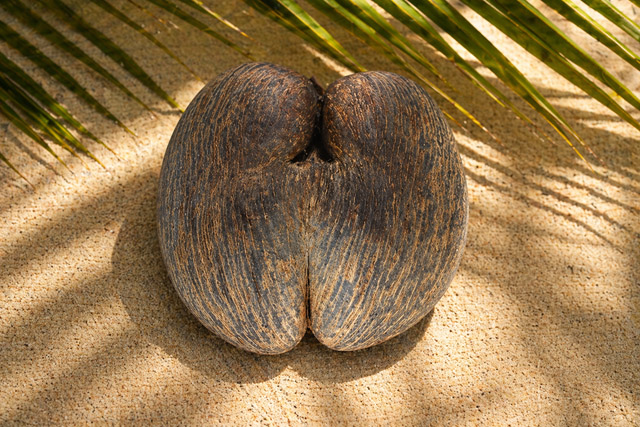Seychellen