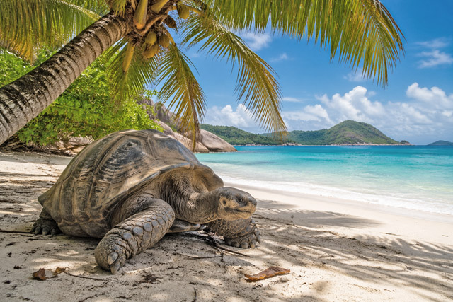 Seychellen