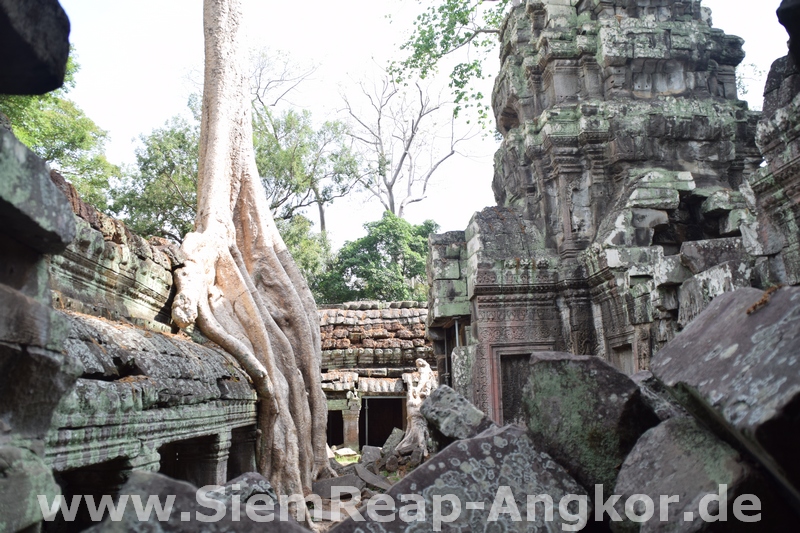 Siem Reap Angkor