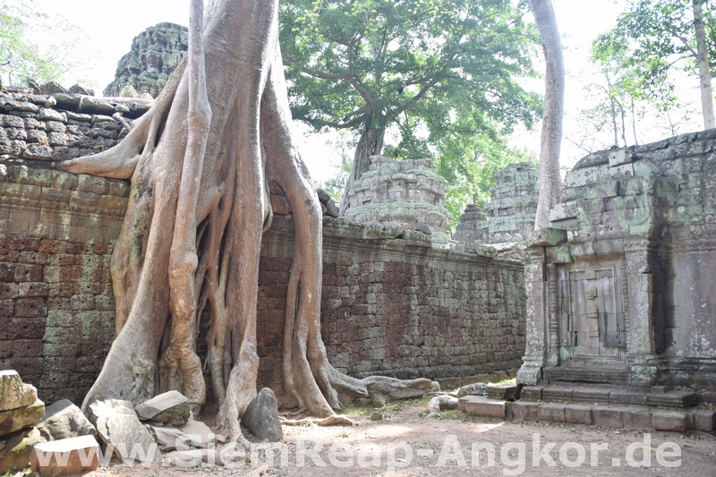 Siem Reap Angkor