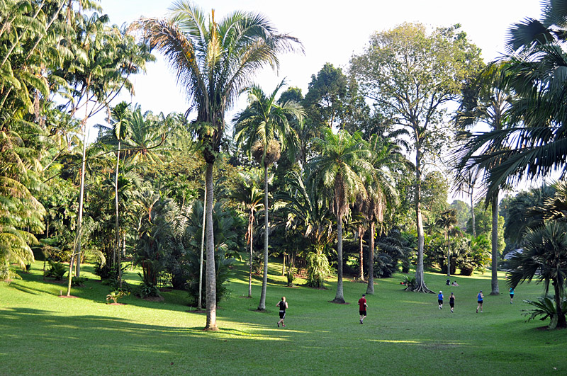 Singapur
