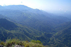 Sri Lanka