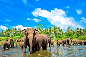 Sri Lanka