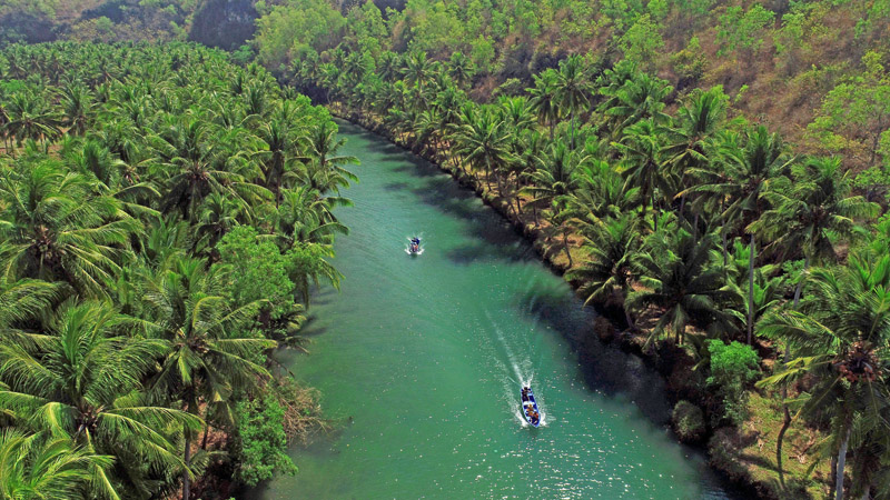 Bohol