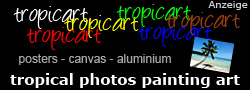 tropical photo art for posters and canvas