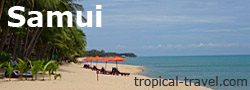 Samui