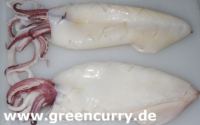 Tintenfischtuben Tintenfisch