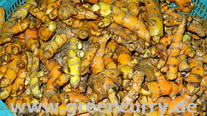 Curcuma